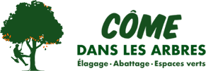 Côme Dans les Arbres | Élagueur à Lambesc