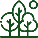 Soins des arbres, protection et préservation de l'environnement