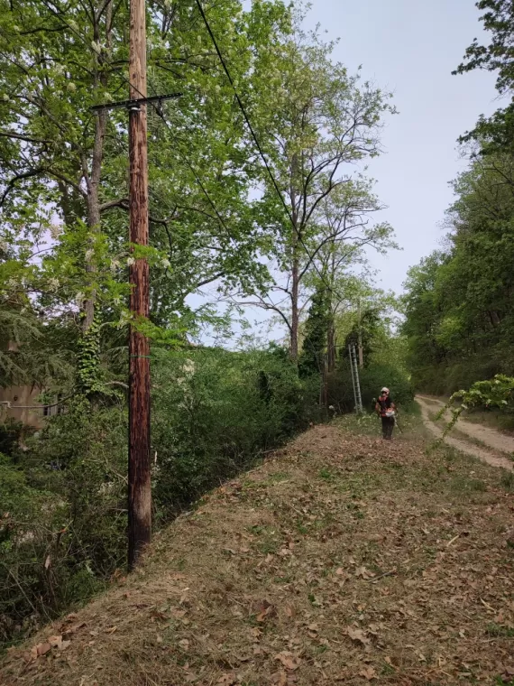 Débroussaillage et élagage à Lambesc
