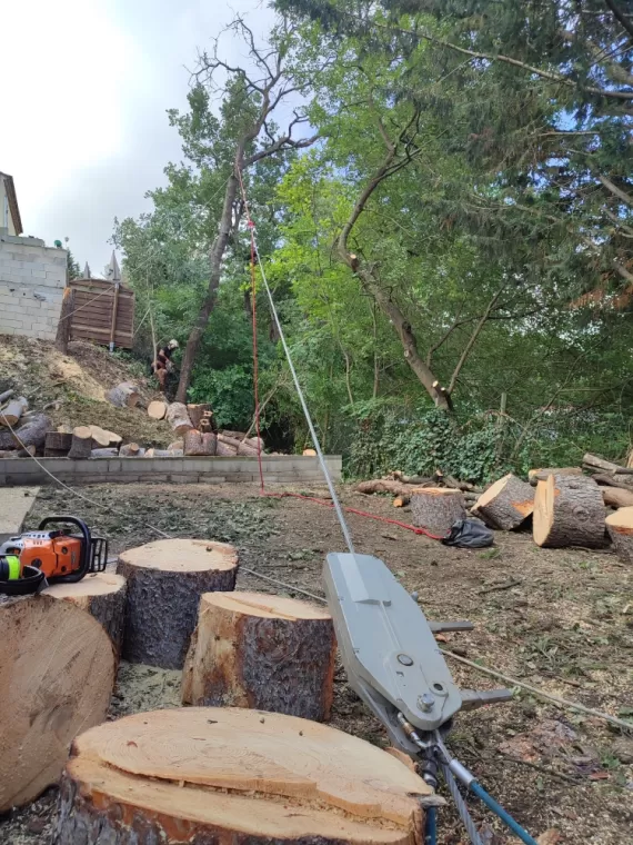 Abattage d'un chêne mort au tire fort.