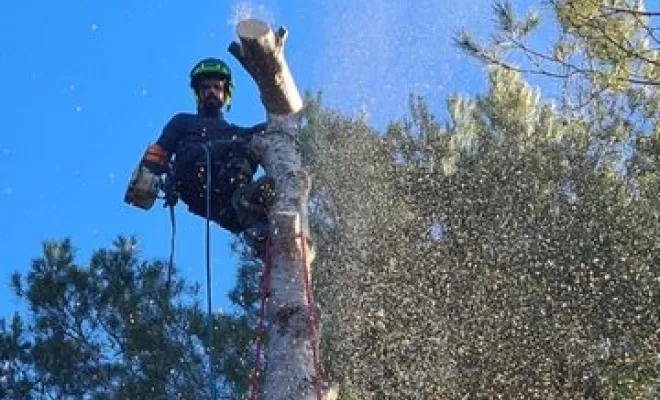 Élagage, Lambesc, Côme Dans les Arbres