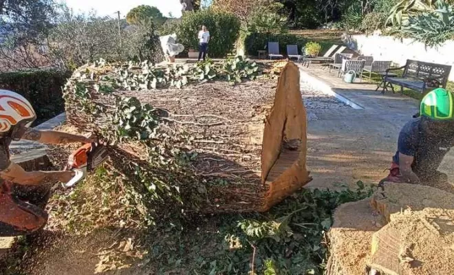 Abattage d'arbres, Lambesc, Côme Dans les Arbres