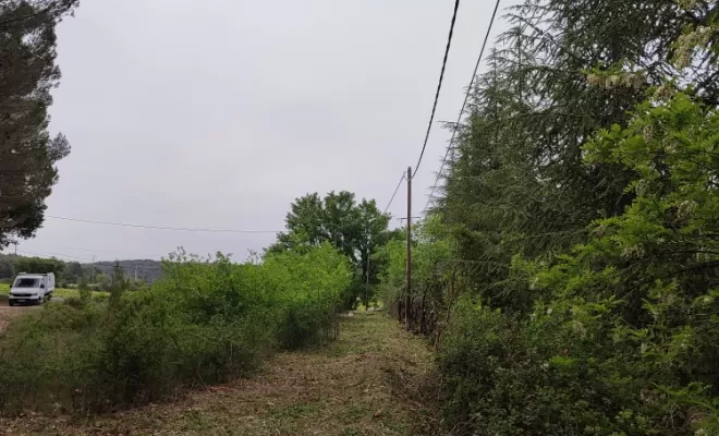 Débroussaillage et élagage à Lambesc