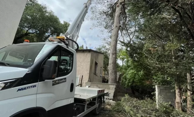 Abattage par démontage de pins dangereux et un chêne mort., Lambesc, Côme Dans les Arbres