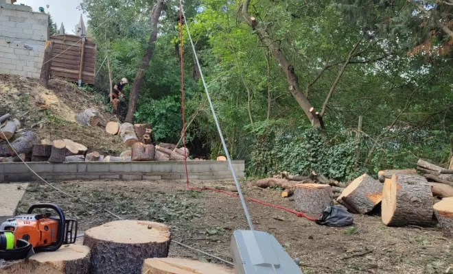 Abattage par démontage de pins dangereux et un chêne mort., Lambesc, Côme Dans les Arbres