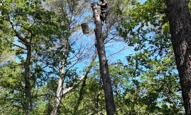 Un rondin de bois pris en plein vol.