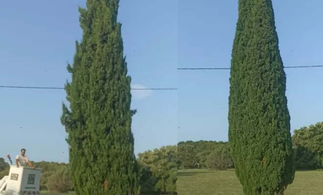 Photo avant/après.