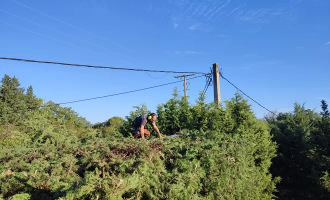 Taille de la hauteur, environ 1m50 retiré.