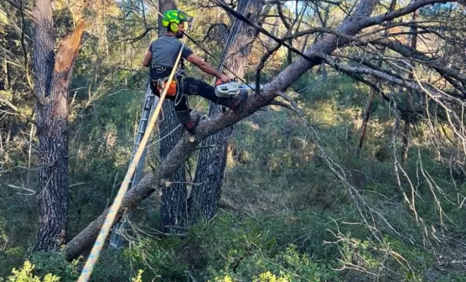 Démontage de l'arbre par petites sections.